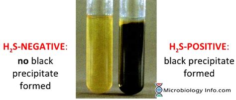 sulfur reduction test|sulphur test.